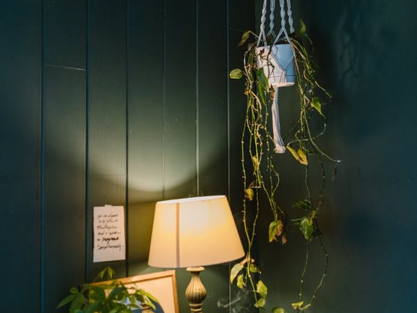 Cozy corner of a room with a yoga mat, cushion, and a plant.